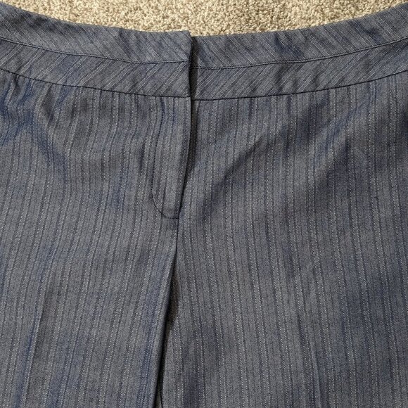 WOMEN'S "Ingredients" Stretch, Blue Striped Casual Zippered Pants; Size 10 - Picture 3 of 6